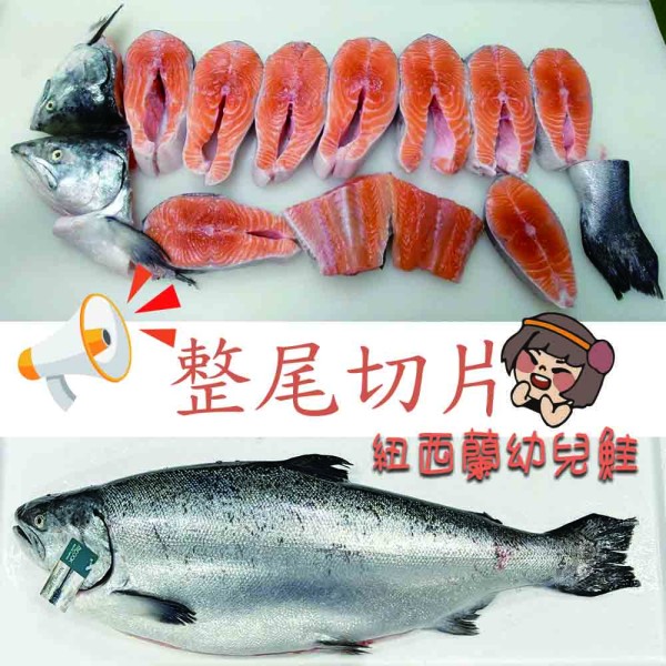 紐西蘭幼兒鮭-鮭魚(✔ 整尾3.8公斤)